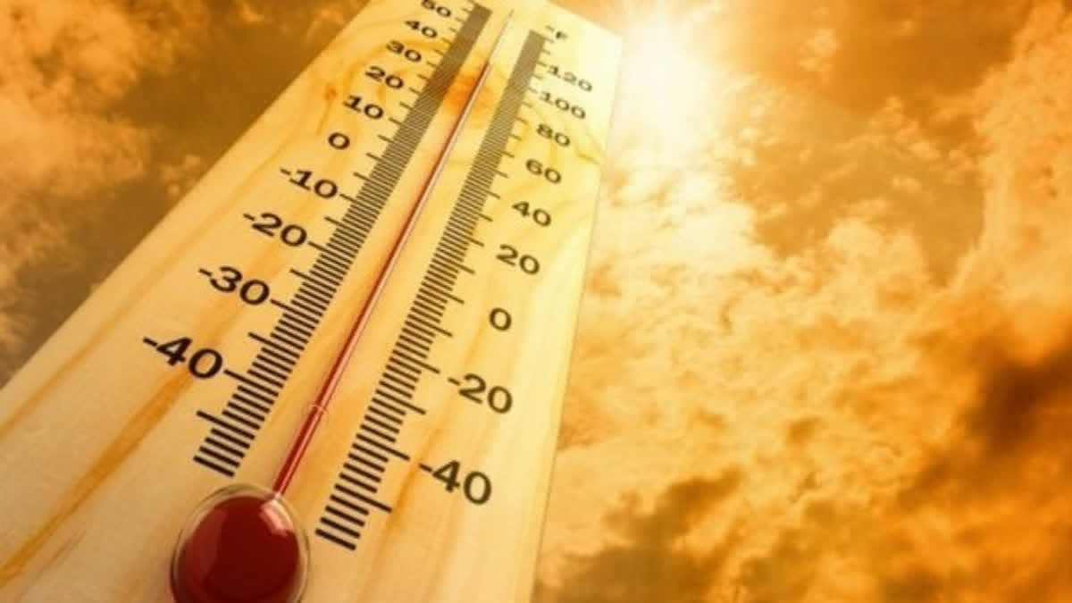 Deadly 2023 heatwave to become the norm in coming years: Study