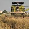 Haryana: Govt subsidy on agri equipments contained stubble burning to great deal, say farmers