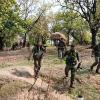 Bijapur encounter: Bodies of 18 Maoists recovered, three security personnel die in gunbattle