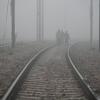 Dense fog disrupts flights, trains across North India
