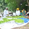 Indi Lime export to Oman showcases early gains of CEPA: Govt