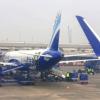 IndiGo CEO admits service lapses, says restoring punctuality 'not an easy target'