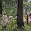 Forest for the Few? Congress Leader Accuses Governments of Handing Over Woodlands to Corporate Interests