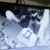 CCTV Footage Captures Violent Assault Inside Mobile Shop in Uttar Pradesh’s Raebareli