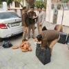 Major Drug Bust in Kanpur: Police Seize Large Consignment of Marijuana from Car