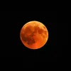 Last full moon of 2025 tonight: Margashirsha Purnima rituals for wealth and harmony