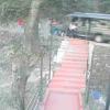 Tourist Vehicle Rolls Back in Dalhousie, Tree Prevents Major Tragedy at Panchpula