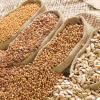 Gujarat Grain and Oilseed Markets Stabilize as 2026-27 Marketing Season Commences