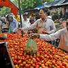 Price Volatility Hits Chandigarh Markets as Tomato and Onion Rates Surge Amid Steady Arrivals