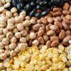 National Agriculture Pulse: Major Cereals and Oilseeds Outperform Federal Benchmarks Amid Robust Arrivals