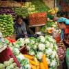 Supply Tightness Triggers Price Volatility Across Himachal Pradesh’s Essential Vegetable Markets