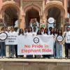 Protests Erupt in Jaipur as Advocates Demand Immediate End to Elephant Exploitation Following Tragic Death of Chanchal