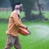 Middle East Conflict Threatens India’s Urea Supply Amid Rising Fertiliser Imbalance Crisis