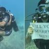 40 Feet Below the Sea: Underwater Proposal in Bali Turns Viral, Showcasing Love, Distance, and Family Acceptance