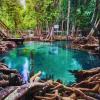 World’s Most Mosquito-Infested Ecological Destinations Continue to Attract Global Tourism Despite Rising Environmental Challenges