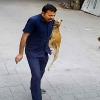 Stray Dog Bites School Security Guard in Mumbai’s Goregaon Amid Rising Safety Concerns