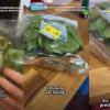 Live Frog Found Inside Supermarket Lettuce Leaves Stuns Australian Farmerv