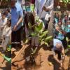 Massive Tree Plantation Drive in Mumbai Unites Politicians and Bollywood Stars Under Bhambla Foundation Initiative