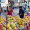 Indian Mangoes Command Premium Prices in London Amid Viral Video Highlighting Global Price Gap