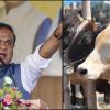 Assam Muslims Forgo Cow Sacrifices During Eid-ul-Adha Amid Push for Communal Harmony
