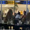 Stray Dog Breaches Passenger Lounge at Hyderabad Airport, Triggers Outrage Over Security and Hygiene Standards