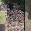  Khajjiar’s Eco Tourism Image Under Scrutiny as Viral Post Reveals Alarming Waste Dumping in Scenic Valley