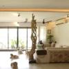 Terence Lewis Opens the Doors to His Luxurious Home as Farah Khan Expresses Admiration