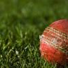 Heavy Pitch Roller Claims Life of Teen Cricketer in Solapur; Culpable Homicide Case Filed Against Coaches and Cricket Associations