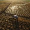 Maharashtra Approves ₹36,585 Crore Farm Loan Waiver, Benefiting 56 Lakh Farmers