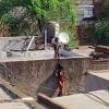 Brutal Axe Attack in Madhya Pradesh Village: Jilted Lover Strikes Teen Girl Nearly 20 Times and Attempts to Hang Her Alive