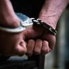 Mumbai Airport Drug Bust: Woman Arrested With Hydroponic Cannabis Worth Rs 11.82 Crore Smuggled From Thailand