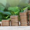 Young Mumbai Professional’s Retirement Planning Query Sparks Debate on Early Wealth Creation