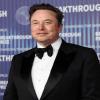 Elon Musk Highlights Qatar Airways' Starlink-Powered Fleet as In-Flight Connectivity Expansion Accelerates