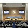 Climate Crisis and Food Security Take Centre Stage at UNHRC as India Showcases Sustainable Solutions