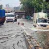 Mumbai Monsoon Deluge Disrupts Rail Services, Triggers Widespread Waterlogging and Administrative Scrutiny