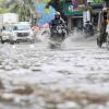 South-West Monsoon Intensifies Across Maharashtra; IMD Issues Alerts for 31 Districts as Mumbai Faces Over 100 Tree-Fall Incidents