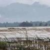 One Missing After Three Swept Away by Floodwaters in Assam's Dhemaji District Amid Worsening Crisis