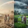 India Records One of Its Driest Junes in Nearly a Century as El Niño Impact Becomes Increasingly Visible