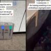 Mumbai Metro Dustbin Video Sparks Debate Over Waste Segregation Design Integrity