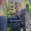 Mother Bird Stands Fearlessly Before Tractor to Protect Eggs, Emotional Video Captivates Millions Worldwide