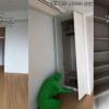 Mystery Green-Suited Figure Steals Spotlight in Viral Tokyo Luxury Apartment Tour