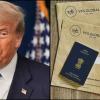 US Citizenship May Become Costlier as Trump Administration Proposes Sharp Fee Hike, Impact Likely on Indians