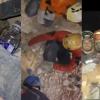 Trapped Beneath Earthquake Rubble, Dog Rescued After Hours of Relentless Effort in Venezuela