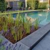 EcoScapes and Fluidra India Join Forces to Redefine Sustainable Luxury Pool Design