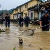 Floods Release Hundreds of Snakes, Including Venomous Cobras, Across Southern China After Snake Farm Is Submerged
