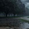 Heavy Rain Batters Several States as Monsoon Intensifies; Alerts Issued in Uttarakhand, Delhi Receives Long-Awaited Showers