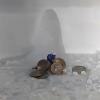Fridge Frost in Agra Draws Devotees After Rapid Melting of Amarnath Ice Shivling