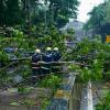 Monsoon Tree Collapses Expose Deep-Rooted Urban Governance Failures Beyond Heavy Rainfall