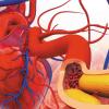 Good Cholesterol: Five Seeds That May Help Raise HDL Levels and Support Heart Health