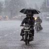 Rajasthan Rainfall Update: Several Districts Receive Above Normal July Rainfall, Water Resources Department Releases Data